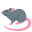 [rat]